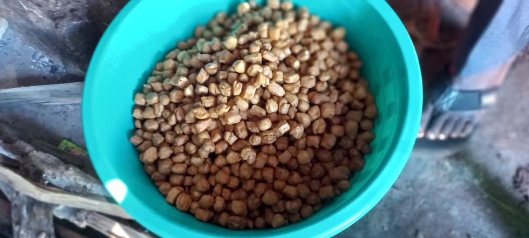 Social Seed Uganda